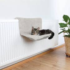 رو شوفاژی پابلو